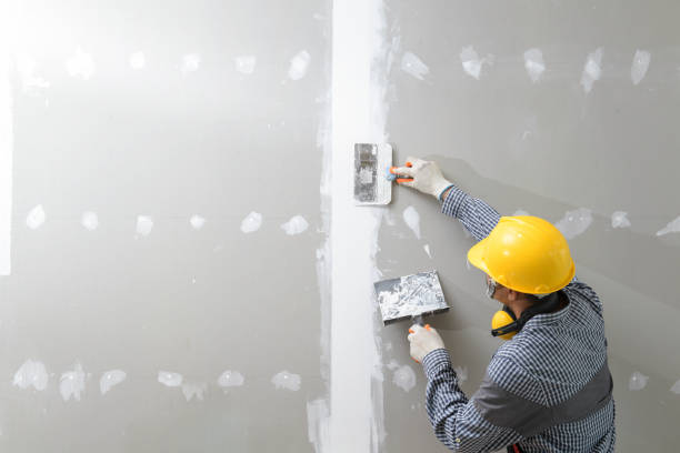 Best Attic Mold Removal  in Batesville, TX